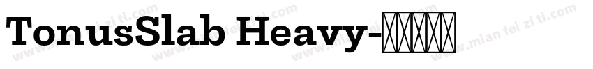 TonusSlab Heavy字体转换